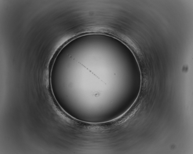 X0000100871079200806201235