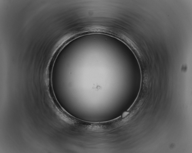 X0000100871082200806201235