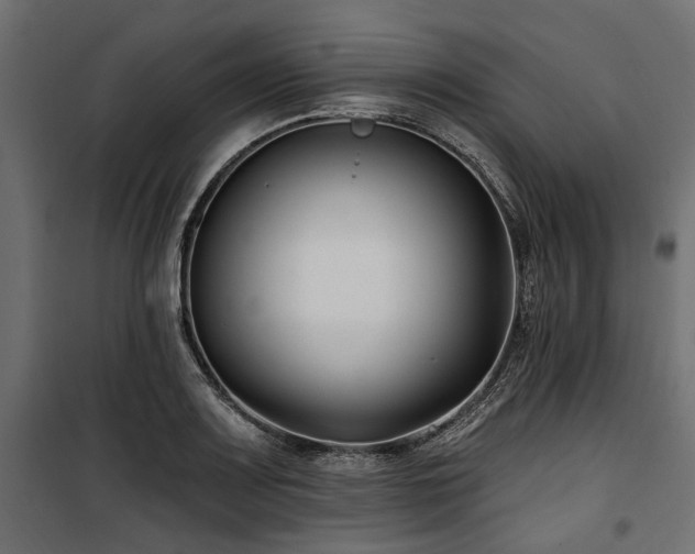 X0000100871083200806201235