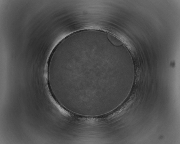 X0000100871084200806201235
