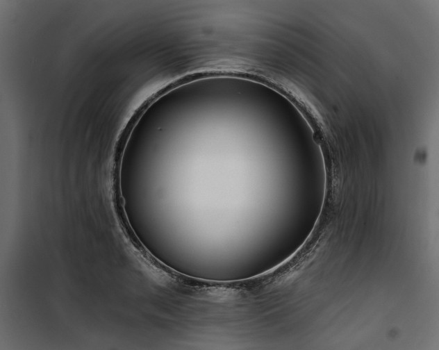 X0000100871085200806201235
