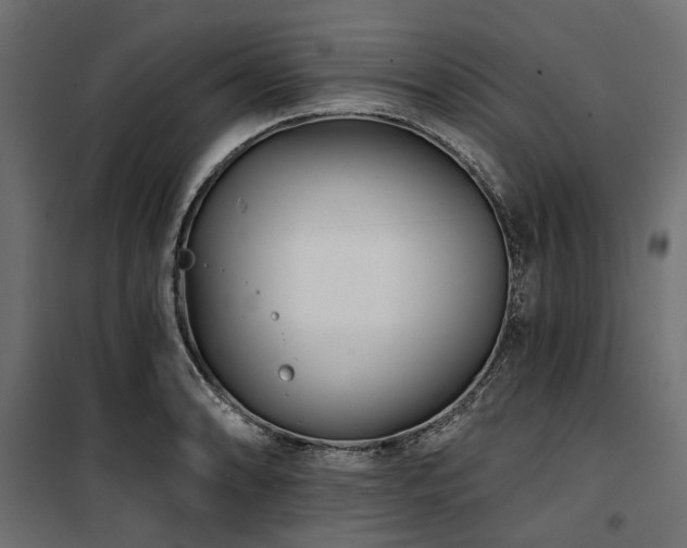 X0000100871086200806201234