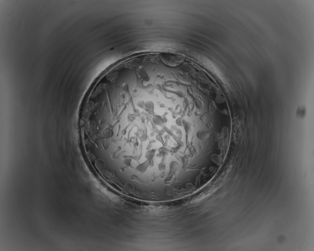 X0000100871087200806201234