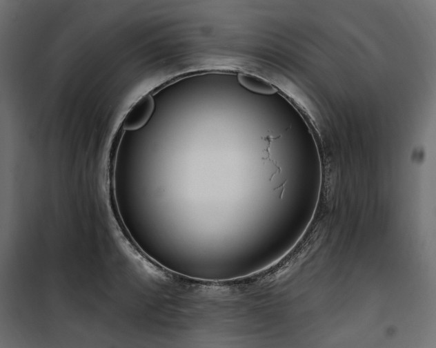 X0000100871088200806201234