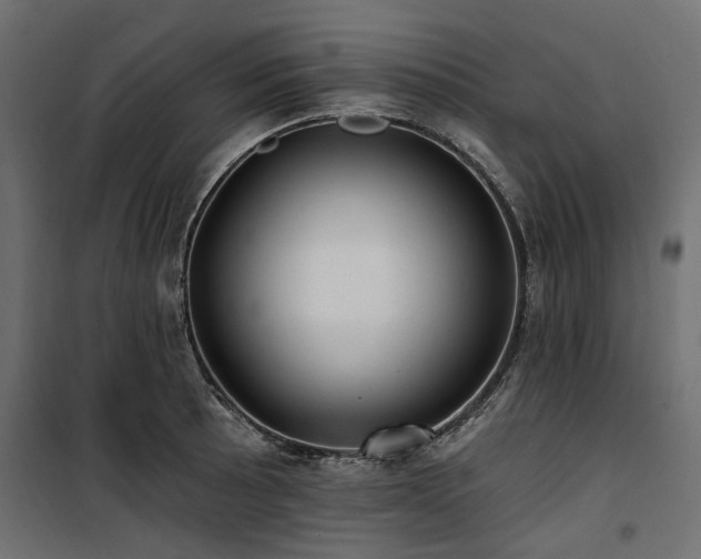 X0000100871089200806201234