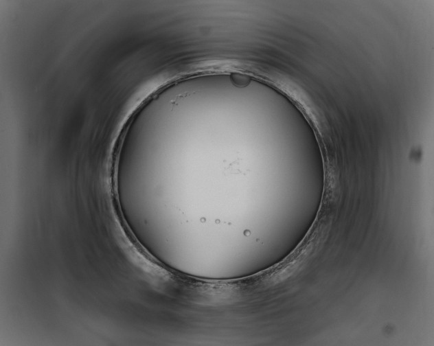 X0000100871090200806201234