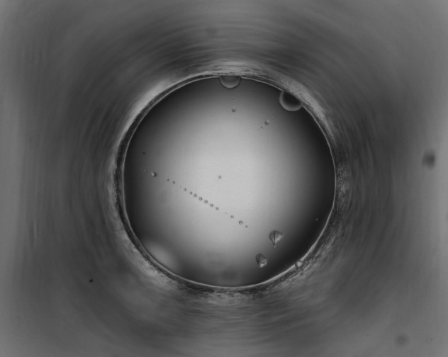 X0000100871091200806201234