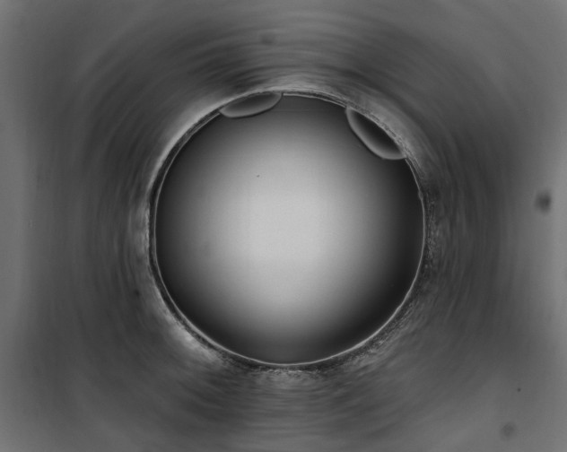 X0000100871092200806201234