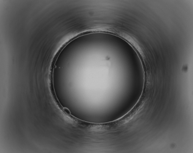 X0000100871093200806201234