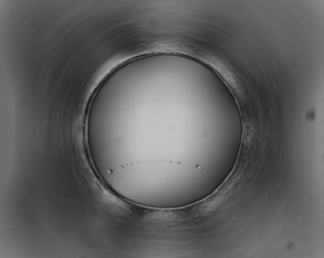 X0000100871094200806201234