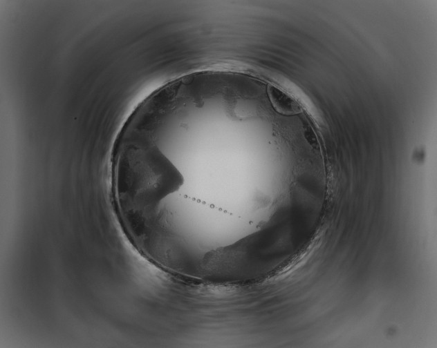 X0000100871095200806201234