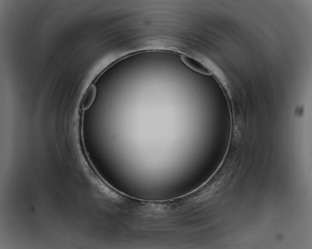 X0000100871096200806201234