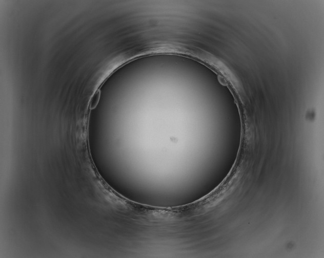 X0000100871097200806201234