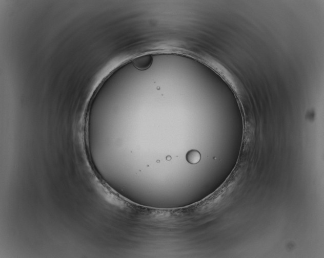 X0000100871098200806201234