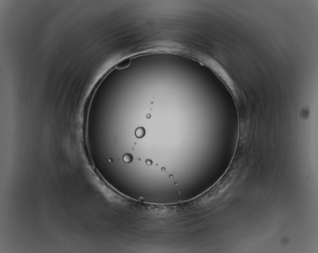 X0000100871099200806201234