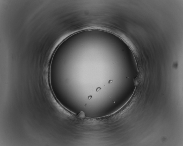 X0000100871100200806201234