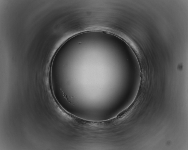 X0000100871102200806201234