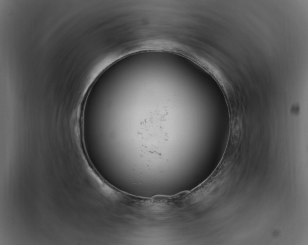 X0000100871103200806201234