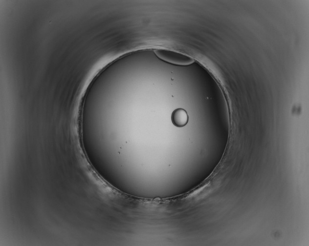 X0000100871104200806201234