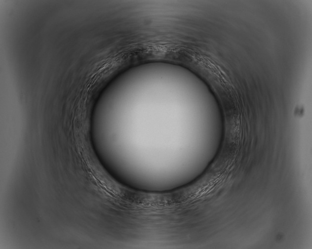 X0000100871105200806201233