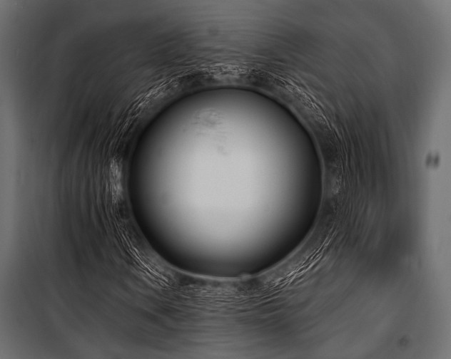 X0000100871106200806201233