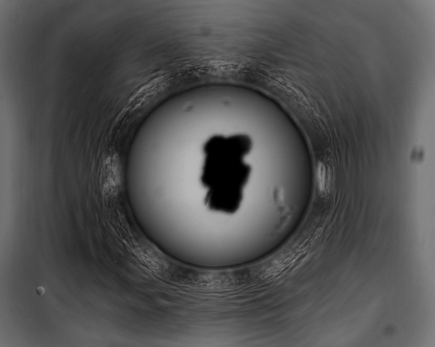 X0000100871107200806201234