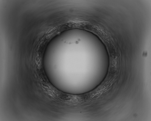 X0000100871109200806201234