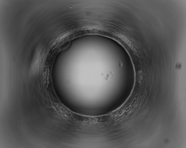 X0000100871111200806201234