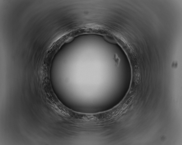 X0000100871112200806201234