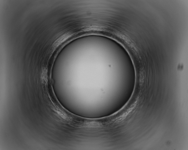X0000100871113200806201234