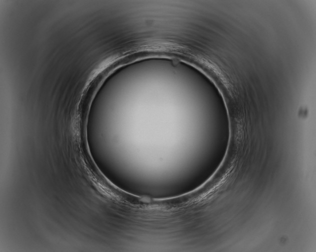 X0000100871114200806201234