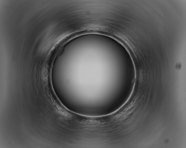 X0000100871115200806201234