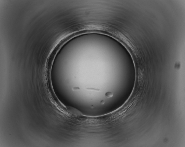 X0000100871116200806201234