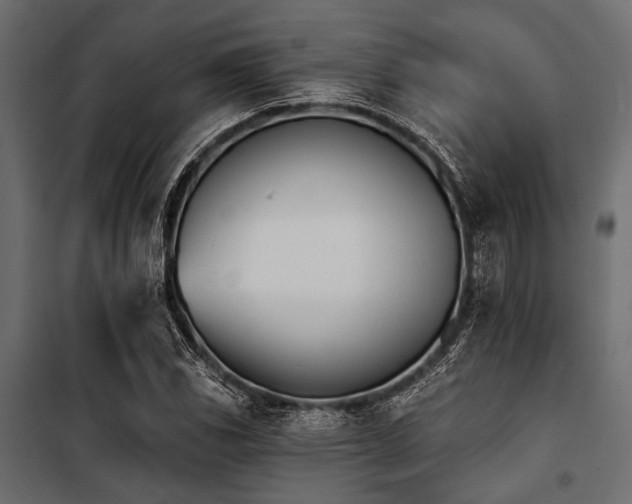 X0000100871117200806201234