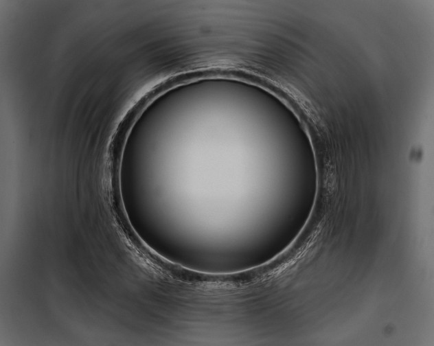 X0000100871118200806201234