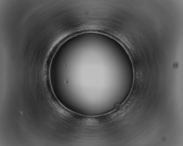 X0000100871119200806201234
