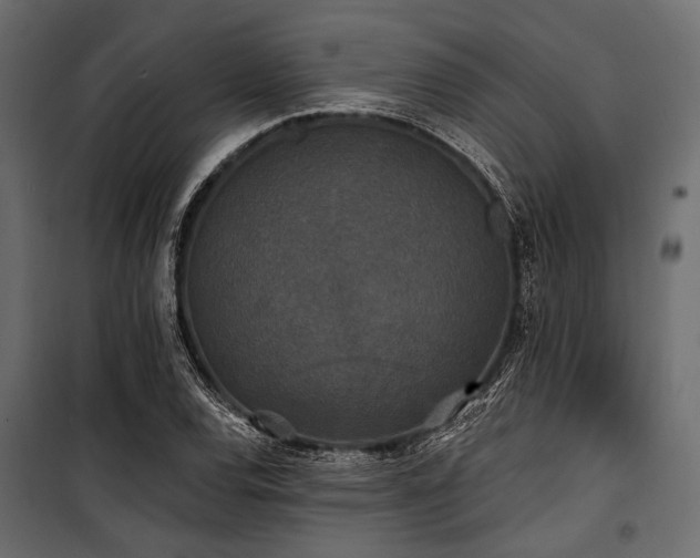X0000100871120200806201234