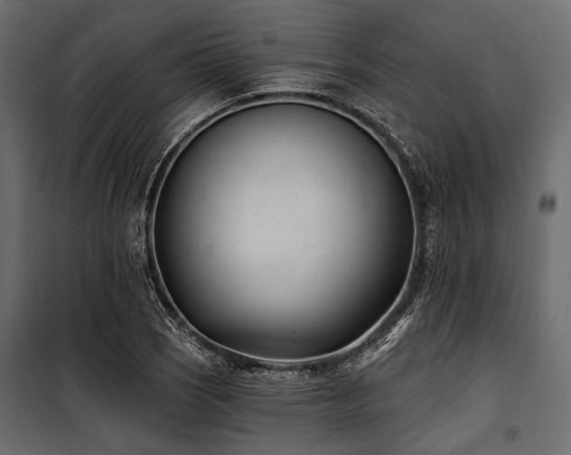 X0000100871121200806201234