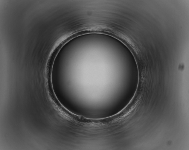 X0000100871122200806201234