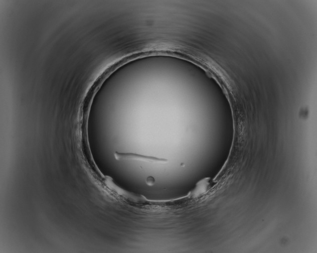 X0000100871124200806201234