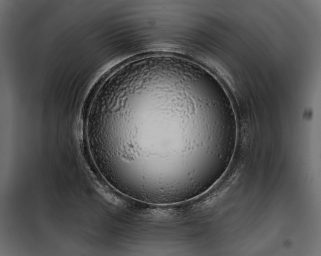 X0000100871125200806201234