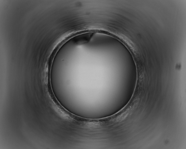 X0000100871126200806201234