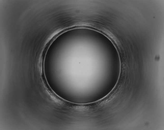 X0000100871127200806201234