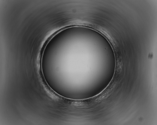 X0000100871128200806201234