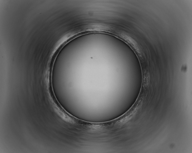 X0000100871130200806201234