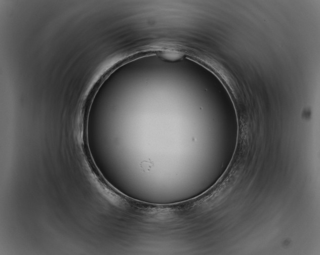 X0000100871131200806201234