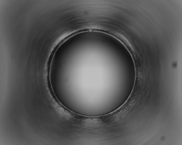 X0000100871133200806201234