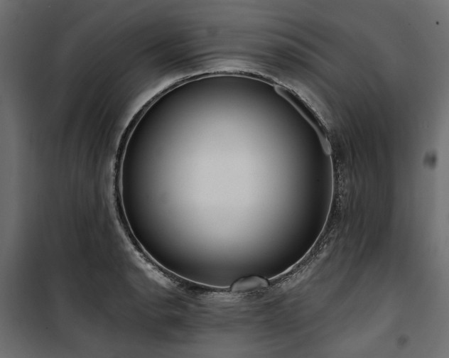 X0000100871134200806201234