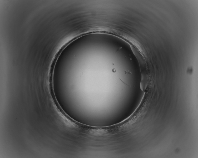 X0000100871135200806201234