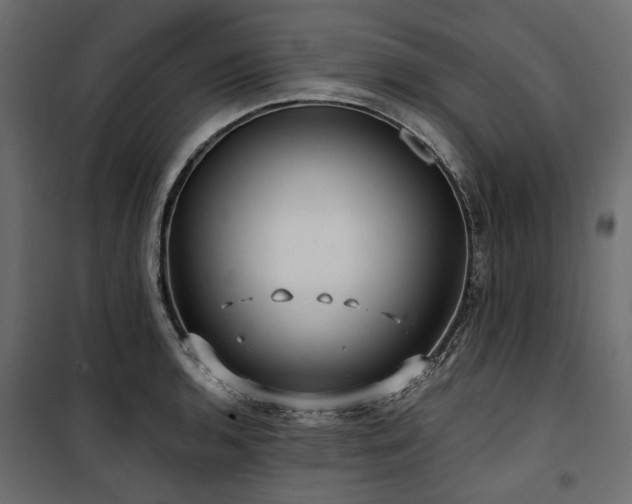 X0000100871136200806201234